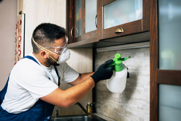 Best Local Pest Control Services  in Madison, WV