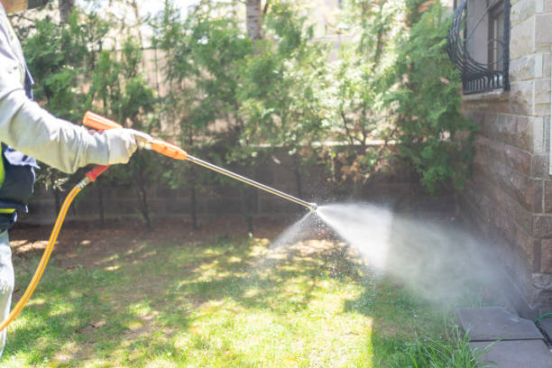  Madison, WV Pest Control Pros