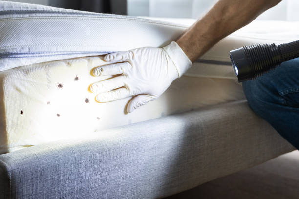 Best Commercial Pest Control Services  in Madison, WV