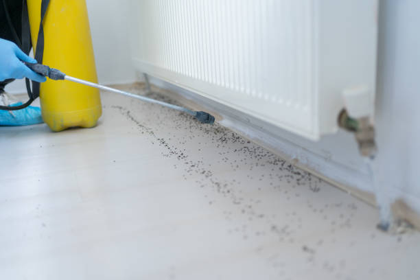 Best Best Pest Control Companies  in Madison, WV